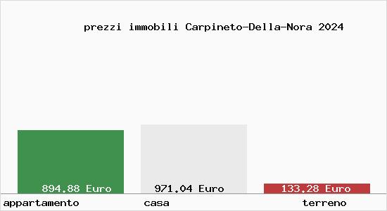 prezzi immobili Carpineto-Della-Nora
