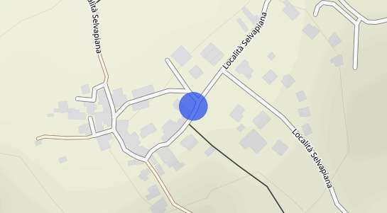 Prezzo degli immobili Selvapiana