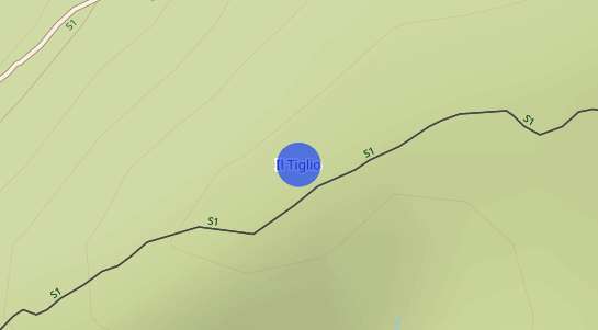 Prezzo degli immobili Tiglio