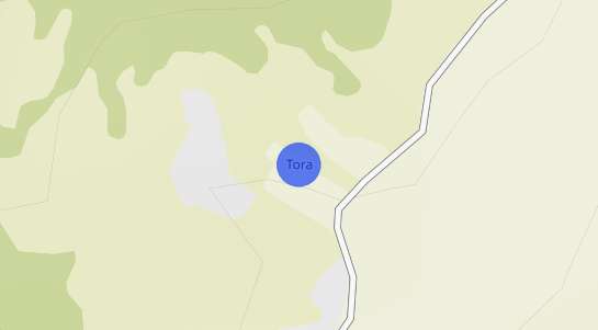 Prezzo degli immobili Tora
